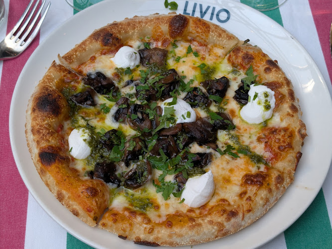 Livio
